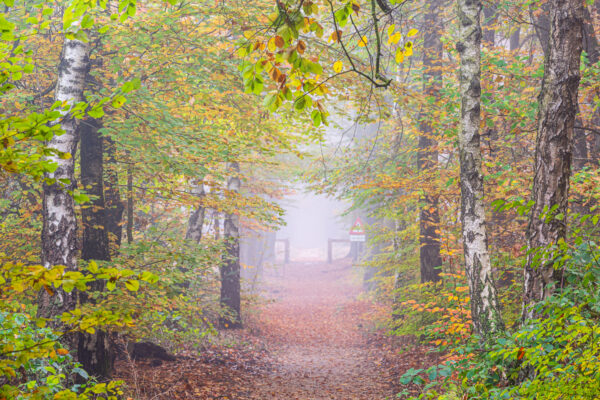 Fotowandeling herfst - Dave Zuuring