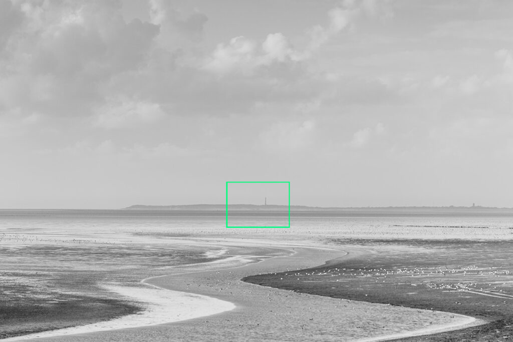 Focus - Rudy Wagenaar
