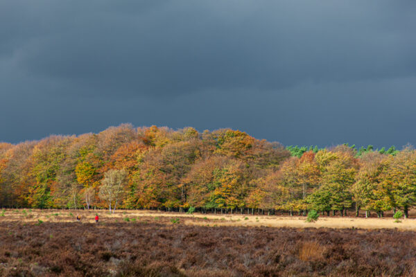 Fotowandeling herfst - Dave Zuuring