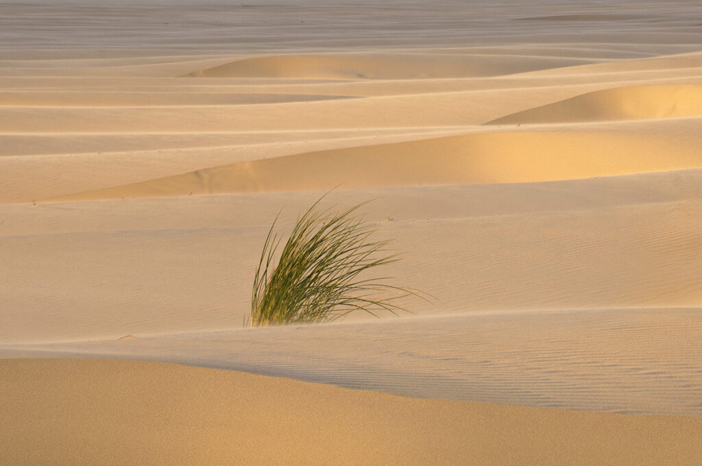 Strand - Rudy Wagenaar