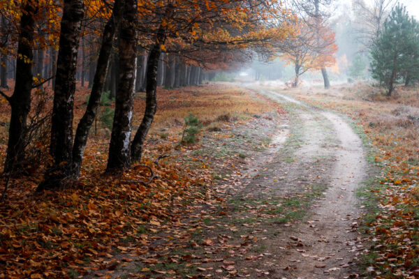Fotowandeling herfst - Dave Zuuring
