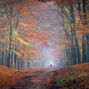Fotowandeling herfst - Dave Zuuring