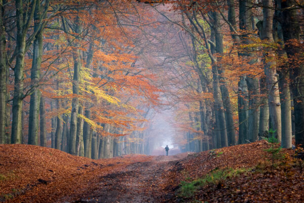 Fotowandeling herfst - Dave Zuuring