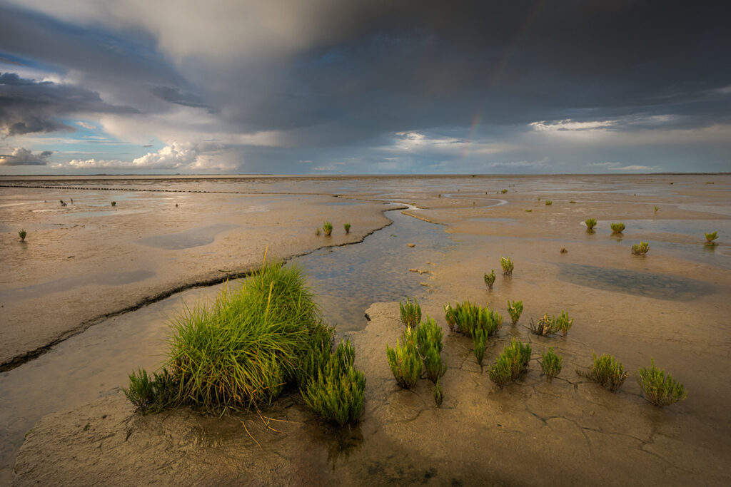 Regenboog boven het Wad