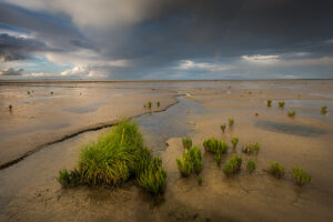 Regenboog boven het Wad