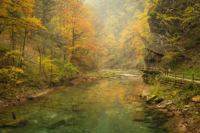 Rivier omringd met herfstkleuren